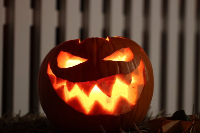 pumpkin-g5232f76c5_1920